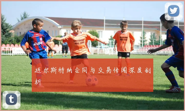迈尔斯特纳合同与交易传闻深度剖析